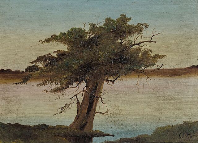 W. ROTEL