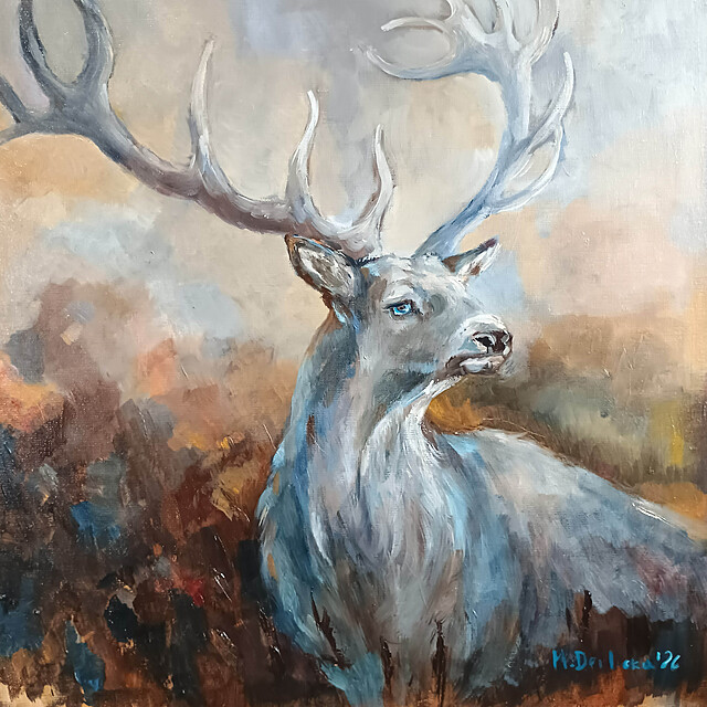 Cervus albus, 2026