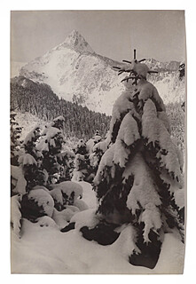 Choinki śniego – Giewont i Czerwone Wierchy 