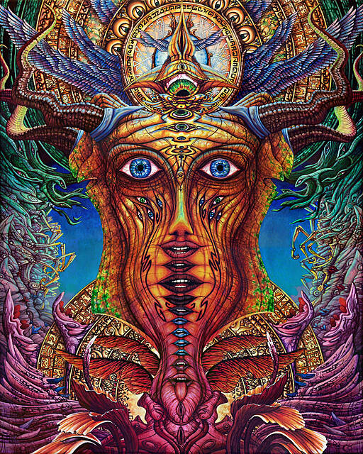 O4- Duality (P15), 2016