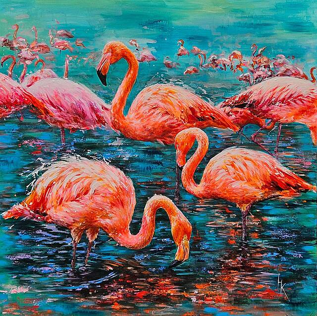 Flamingi
