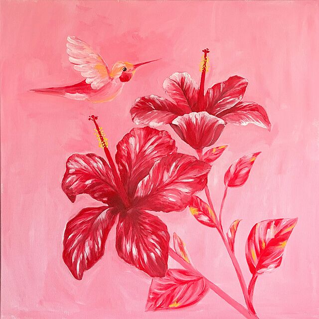 Hibiskusy, 2026