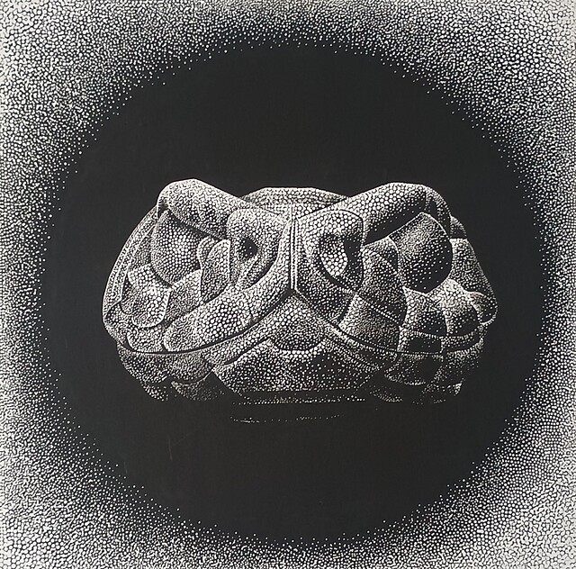 Snake, 2018