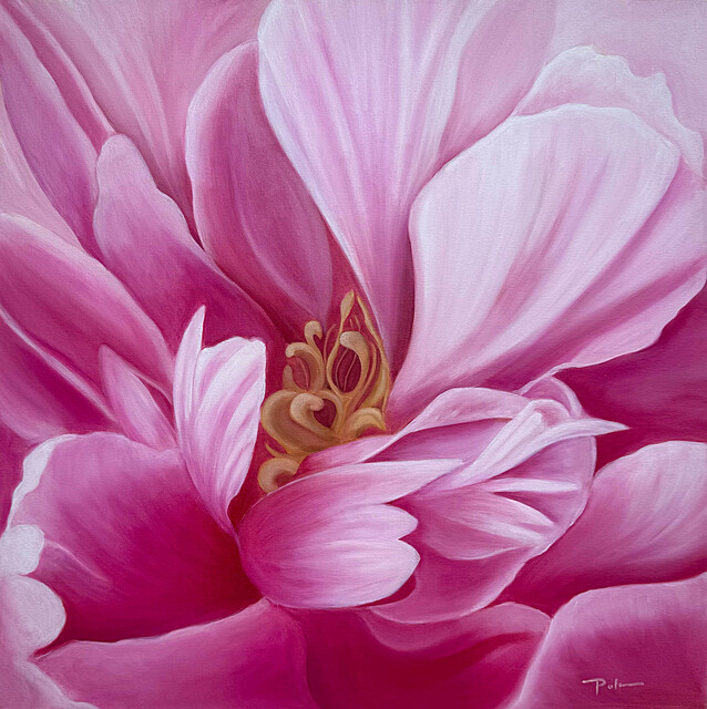 Pink peony, 2026