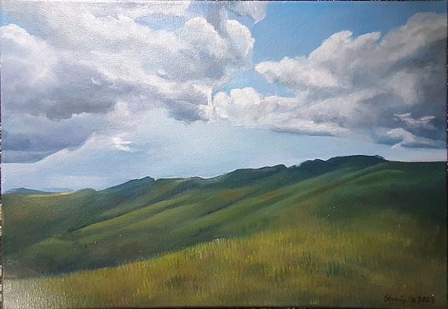 Bieszczady 2, 2025 