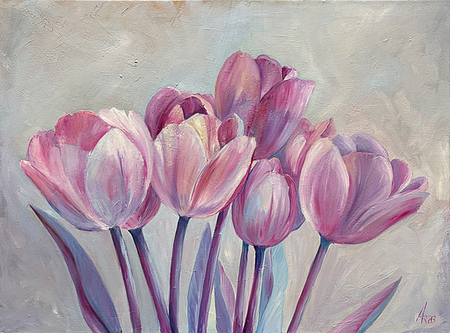 Where tulips dream, 2026